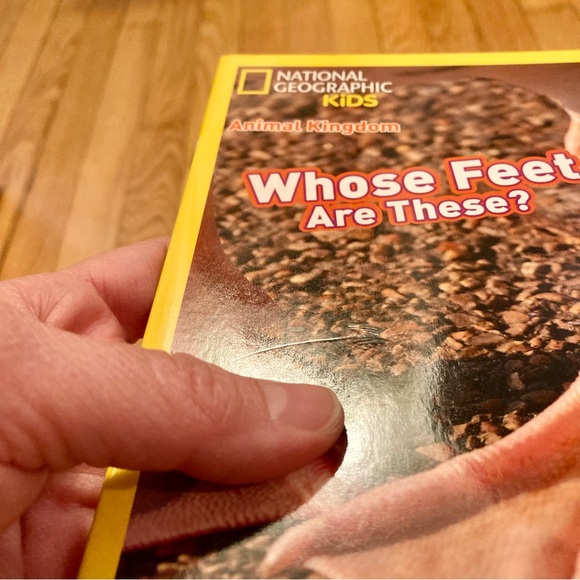 🎉HP🎉 Scholastic National Geographic Kids 12 Book Phonics Animals Box Set - Picture 9 of 11